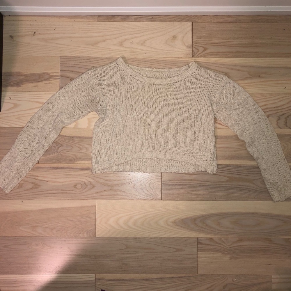 Brandy Melville Cropped Sweater